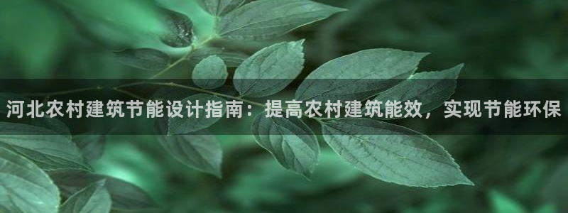 谁知道e尊国际的网址：河北农村建筑节能设计指南：提高农村建筑能效，实现节能环保