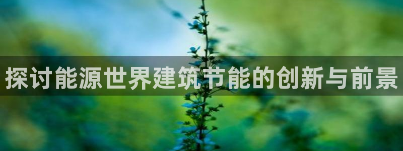 e尊国际官方网站：探讨能源世界建筑节能的创新与前景