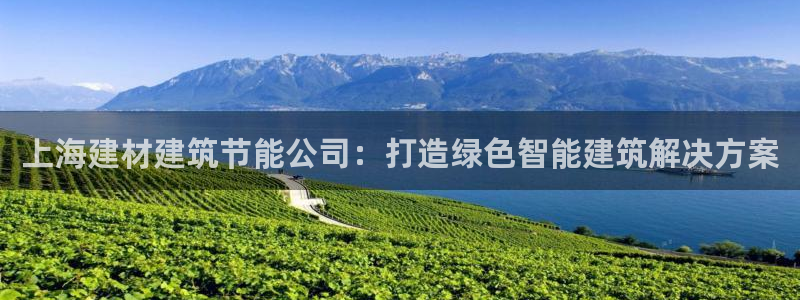 尊亿游戏国际官网：上海建材建筑节能公司：打造绿色智能建筑解决方案