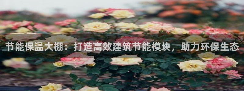 e尊电竞：节能保温大棚：打造高效建筑节能模块，助力环保生态