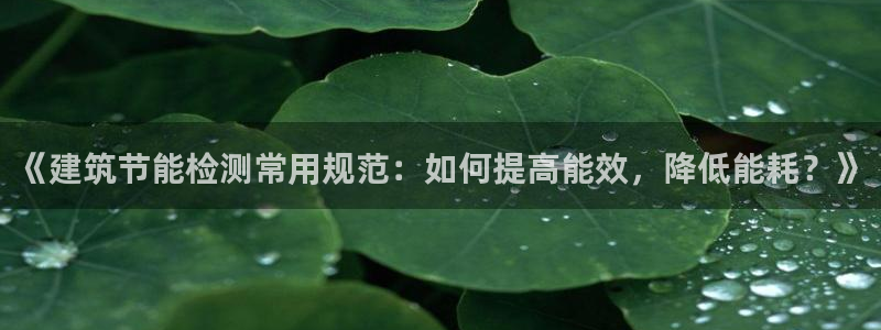 e尊国际-e尊国际官网：《建筑节能检测常用规范：如何提高能效，降低能耗？》