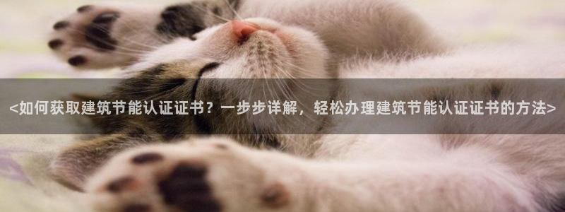 e尊电竞：<如何获取建筑节能认证证书？一步步详解，轻松办理建筑节能认证证书的方法>