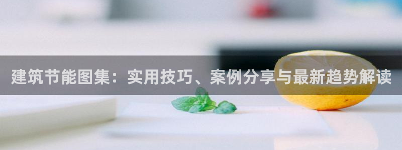 e尊国际平台：建筑节能图集：实用技巧、案例分享与最新趋势解读