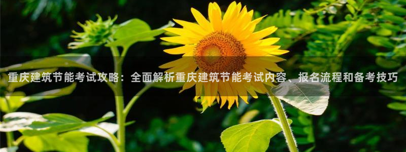 e尊国际网址：重庆建筑节能考试攻略：全面解析重庆建筑节能考试内容、报名流程和备考技巧