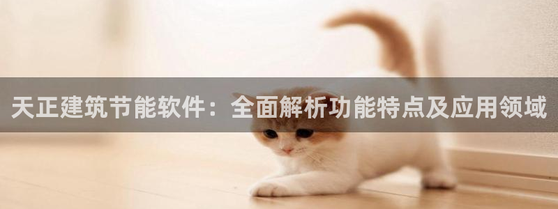 e尊国际地址：天正建筑节能软件：全面解析功能特点及应用领域