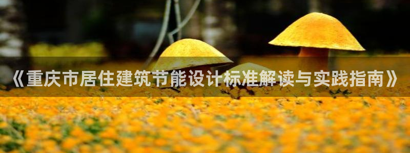 谁知道e尊国际的网址：《重庆市居住建筑节能设计标准解读与实践指南》