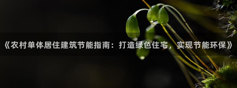 e尊国际客服：《农村单体居住建筑节能指南：打造绿色住宅，实现节能环保》