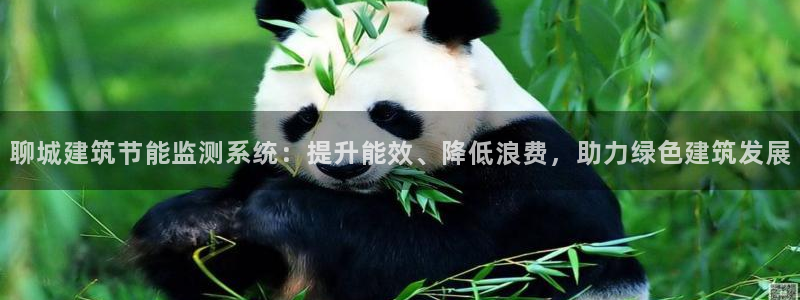 e尊国际app：聊城建筑节能监测系统：提升能效、降低浪费，助力绿色建筑发展