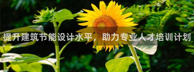 e尊国际是干什么的：提升建筑节能设计水平，助力专业人才培训计划