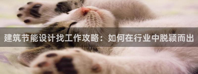 e尊国际官方网站：建筑节能设计找工作攻略：如何在行业中脱颖而出
