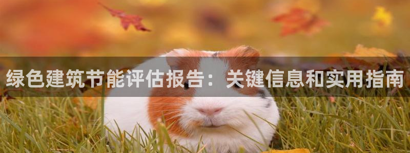 e尊国际客服：绿色建筑节能评估报告：关键信息和实用指南