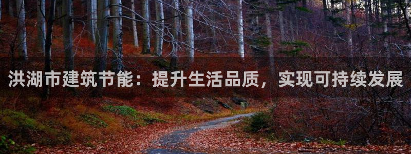 尊亿娱乐国际官网：洪湖市建筑节能：提升生活品质，实现可持续发展