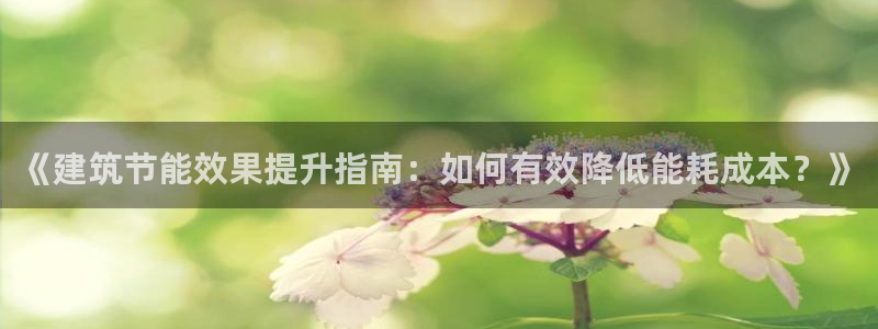 e尊国际平台：《建筑节能效果提升指南：如何有效降低能耗成本？》