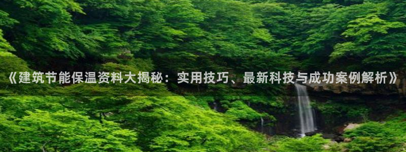 谁知道e尊国际的网址：《建筑节能保温资料大揭秘：实用技巧、最新科技与成功案例解析》