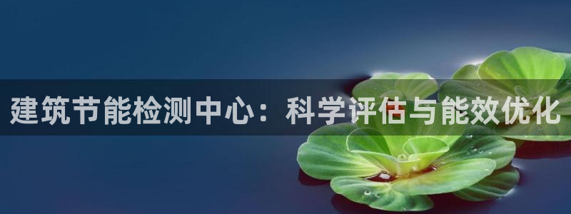 e尊国际地址：建筑节能检测中心：科学评估与能效优化