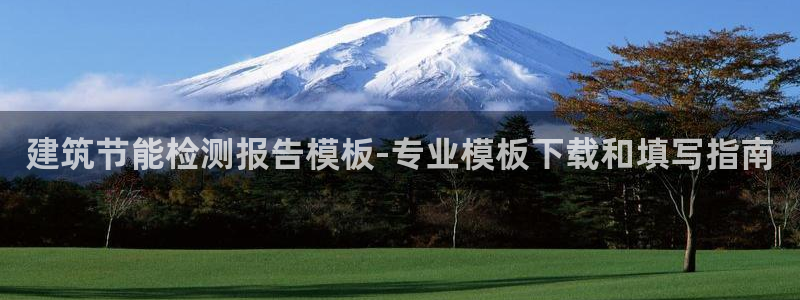 e尊国际-e尊国际官网：建筑节能检测报告模板-专业模板下载和填写指南