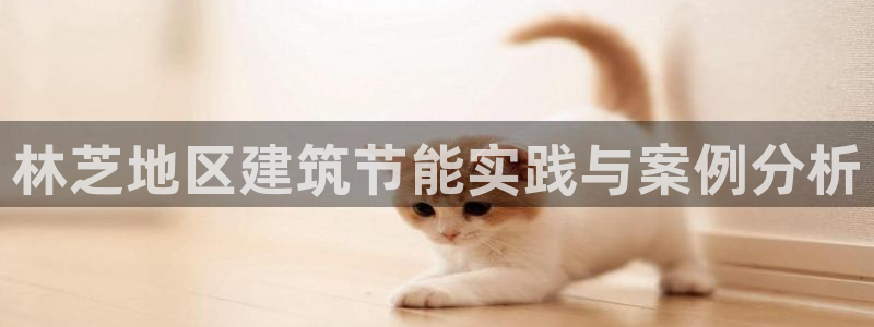 e尊国际官网·网址：林芝地区建筑节能实践与案例分析