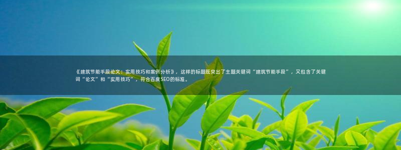 e尊国际娱乐官网下载：《建筑节能手段论文：实用技巧和案例分析》，这样的标题既突出了主题关键词“建筑节能手段”，又包含了关键词“论文”和“实用技巧”，符合百度SEO的标准。