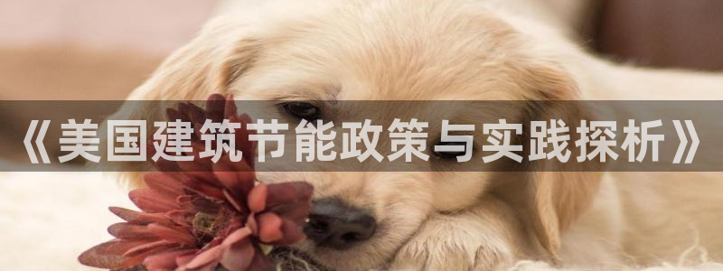 e尊国际娱乐官网地址：《美国建筑节能政策与实践探析》