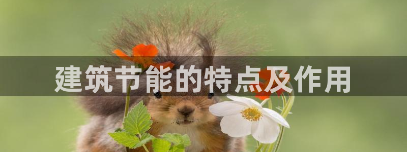 尊亿游戏国际官网：建筑节能的特点及作用