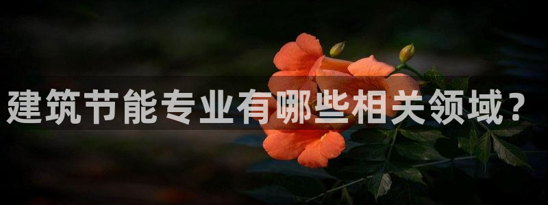 e尊国际官网·网址：建筑节能专业有哪些相关领域？