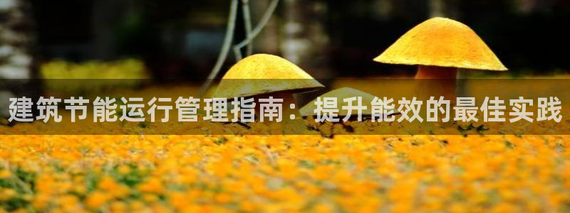 e尊国际娱乐官网下载：建筑节能运行管理指南：提升能效的最佳实践