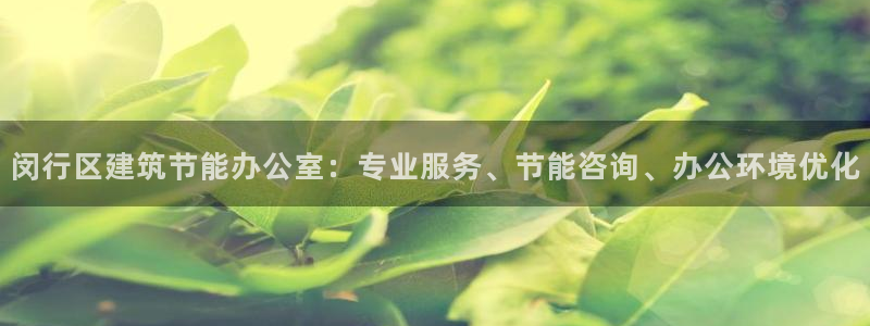 e尊国际客户端：闵行区建筑节能办公室：专业服务、节能咨询、办公环境优化