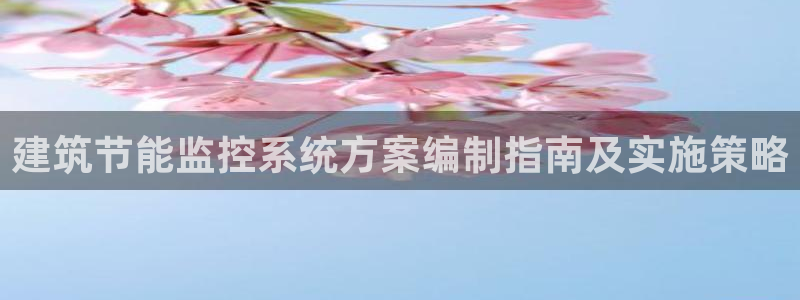 e尊国际-可可计划：建筑节能监控系统方案编制指南及实施策略