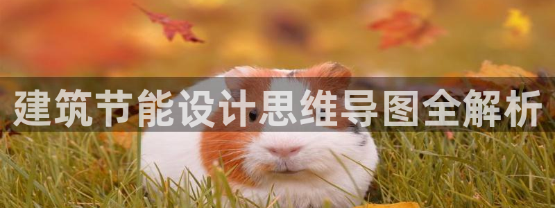 尊亿游戏国际官网：建筑节能设计思维导图全解析