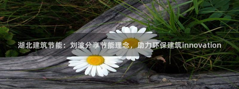 e尊国际-可可计划：湖北建筑节能：刘波分享节能理念，助力环保建筑innovation