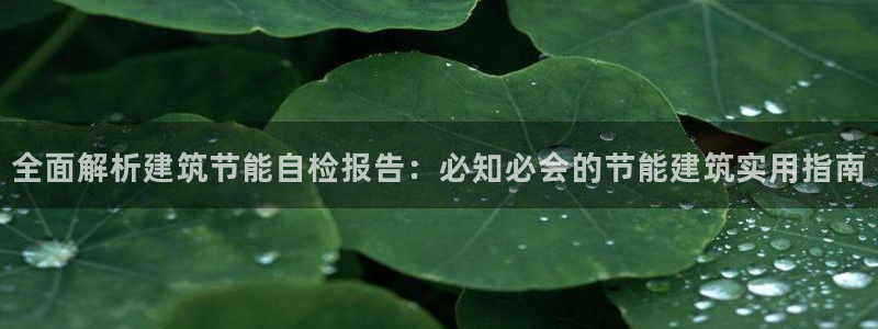 e尊国际的手机登录网站：全面解析建筑节能自检报告：必知必会的节能建筑实用指南