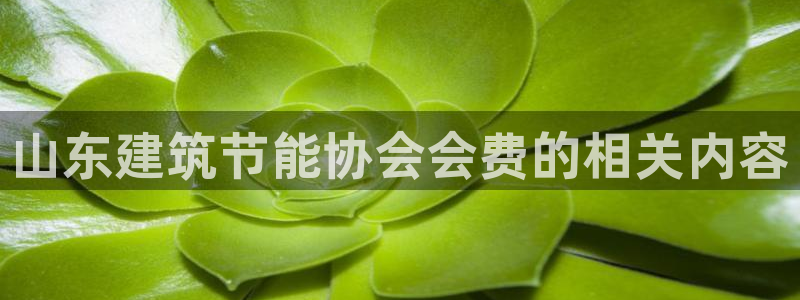 e尊国际平台：山东建筑节能协会会费的相关内容