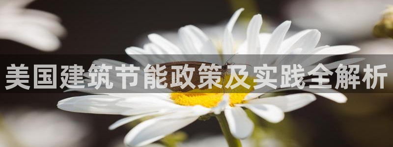 e尊国际-e尊国际官网：美国建筑节能政策及实践全解析