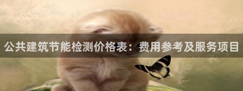 e尊国际网址：公共建筑节能检测价格表：费用参考及服务项目