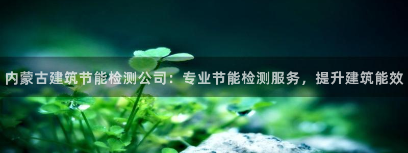 e尊国际客户端：内蒙古建筑节能检测公司：专业节能检测服务，提升建筑能效