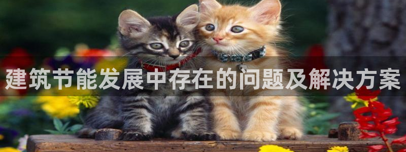 e尊电竞：建筑节能发展中存在的问题及解决方案