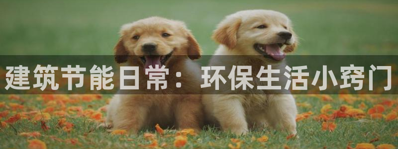 e尊国际官方网站：建筑节能日常：环保生活小窍门