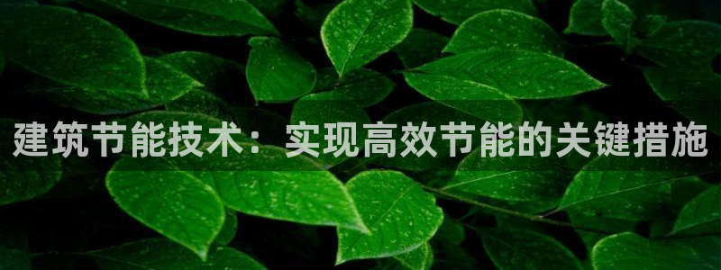 e尊国际客户端下载：建筑节能技术：实现高效节能的关键措施