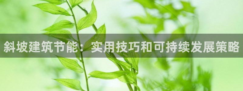 谁知道e尊国际的网址：斜坡建筑节能：实用技巧和可持续发展策略
