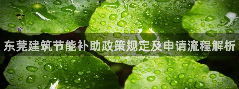 e尊国际官网·网址：东莞建筑节能补助政策规定及申请流程解析