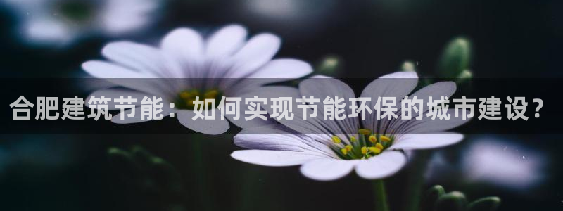 e尊国际app：合肥建筑节能：如何实现节能环保的城市建设？