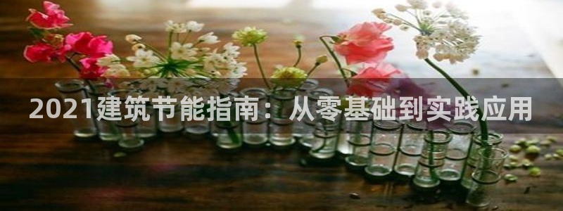 e尊官网：2021建筑节能指南：从零基础到实践应用