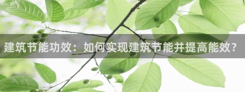 e尊国际官网app：建筑节能功效：如何实现建筑节能并提高能效？