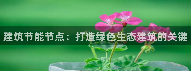 e尊国际平台：建筑节能节点：打造绿色生态建筑的关键