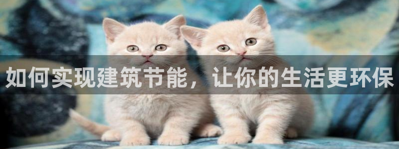 e尊国际-可可计划：如何实现建筑节能，让你的生活更环保