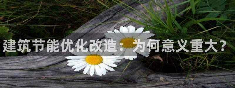 e尊国际网址：建筑节能优化改造：为何意义重大？