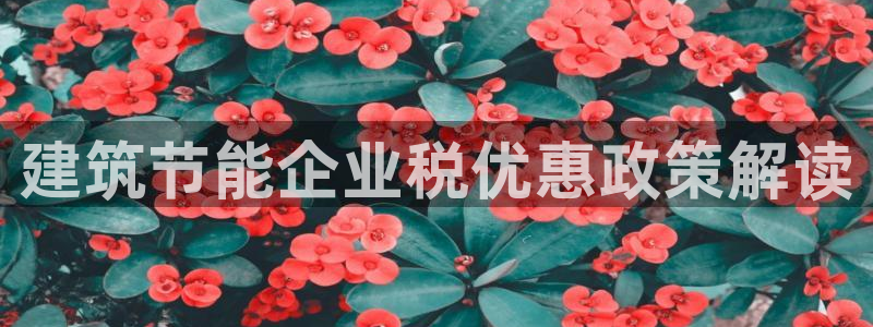 e尊国际平台