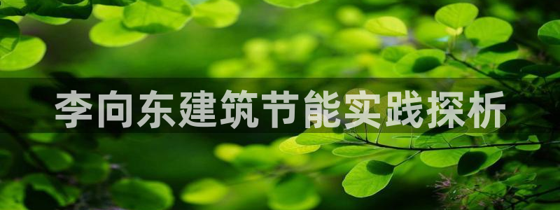 e尊国际官网app：李向东建筑节能实践探析