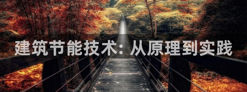 e尊体育：建筑节能技术: 从原理到实践