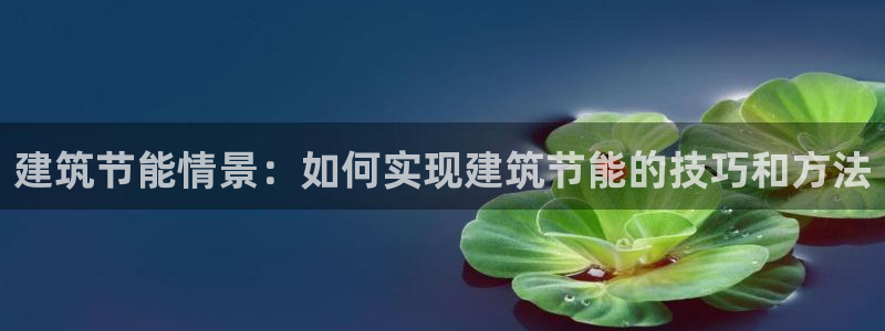 e尊国际是个黑网：建筑节能情景：如何实现建筑节能的技巧和方法